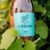 Cipriani Rosé Brut - Image 2